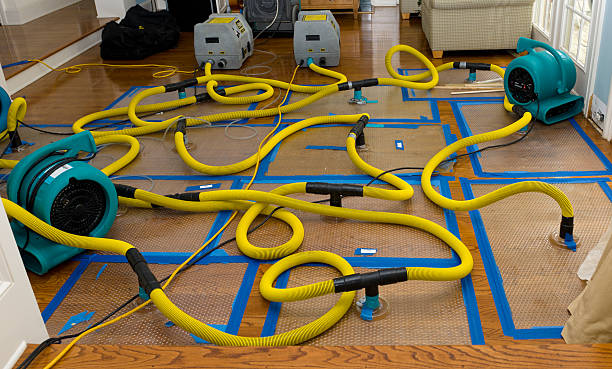 Professional Basement Flood Cleanup technician working in Orosi, CA